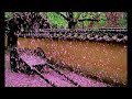 紅塵 羅嘉玲 車森梅 鄭子誠 林友榮 紅塵 羅嘉玲 車森梅 鄭子誠 林友榮