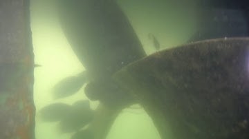 Rudder and Propeller Inspection by Planys Technologies