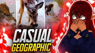 DANG THE RULE OF NATURE!! | Casual Geographic Reaction