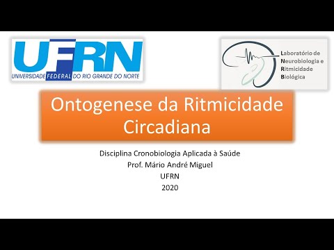 Vídeo: Uma Mulher De Um Sonho Aparece Cada Vez Com Mais Frequência Na Vida De Um Homem - Visão Alternativa