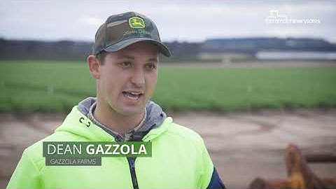 Laser bird deterrent helps an Australian grower to reduce bird presence by up to 90%