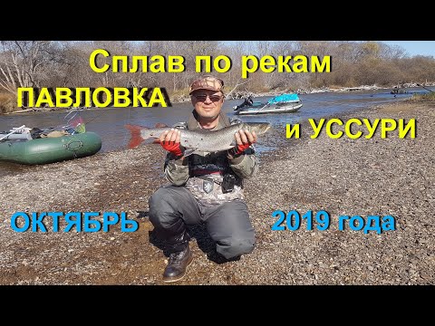 Видео: Уссурийн бар ямар харагддаг вэ?