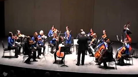 Wranitzky: Cello Concerto, 2nd movement / Nouzovsky  Rachlevsky  Chamber Orchestra Kremlin