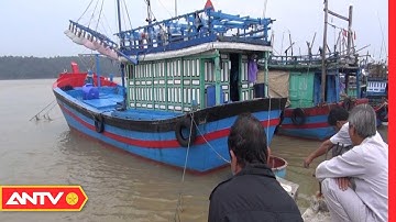 Đã Tìm Thấy Một Ngư Dân Vụ 4 Người Mất Tích Trên Tàu Cá ở Biển Lý Sơn | Tin Tức 24h | ANTV