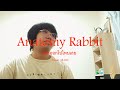 B.O.N - อย่าออกไปไหนเลย I Anatomy Rabbit