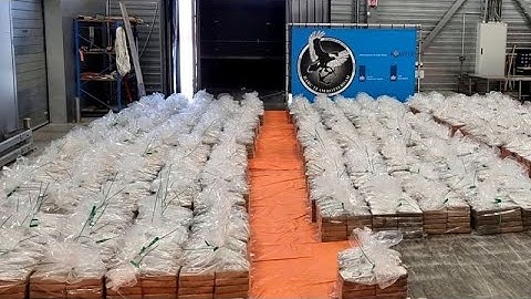 Douane in Rotterdam registreert inbeslagname van cocaïne ter waarde van € 600 miljoen
