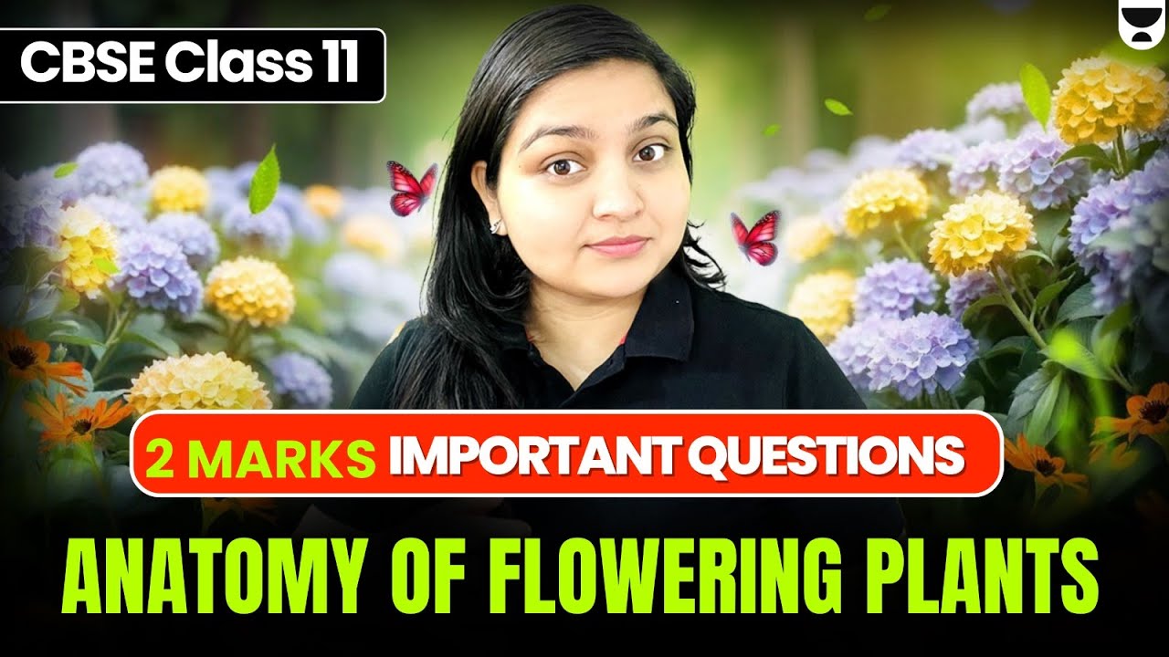 CBSE Class 11 Biology | Anatomy of Flowering Plants – 2 Marks Questions ...
