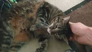 VID 20190830 155246