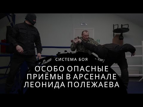 Видео: СИСТЕМА БОЯ ЛЕОНИДА ПОЛЕЖАЕВА / отработка особо ОПАСНЫХ приёмов