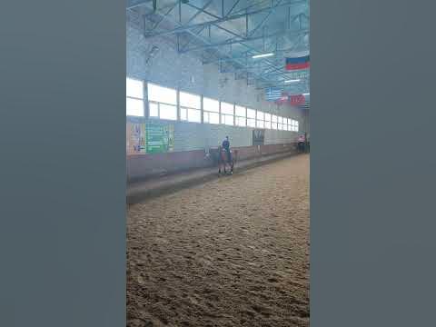 Москва. дер.Орлово. Школа верховой езды Спирит, манеж 🍎 - YouTube