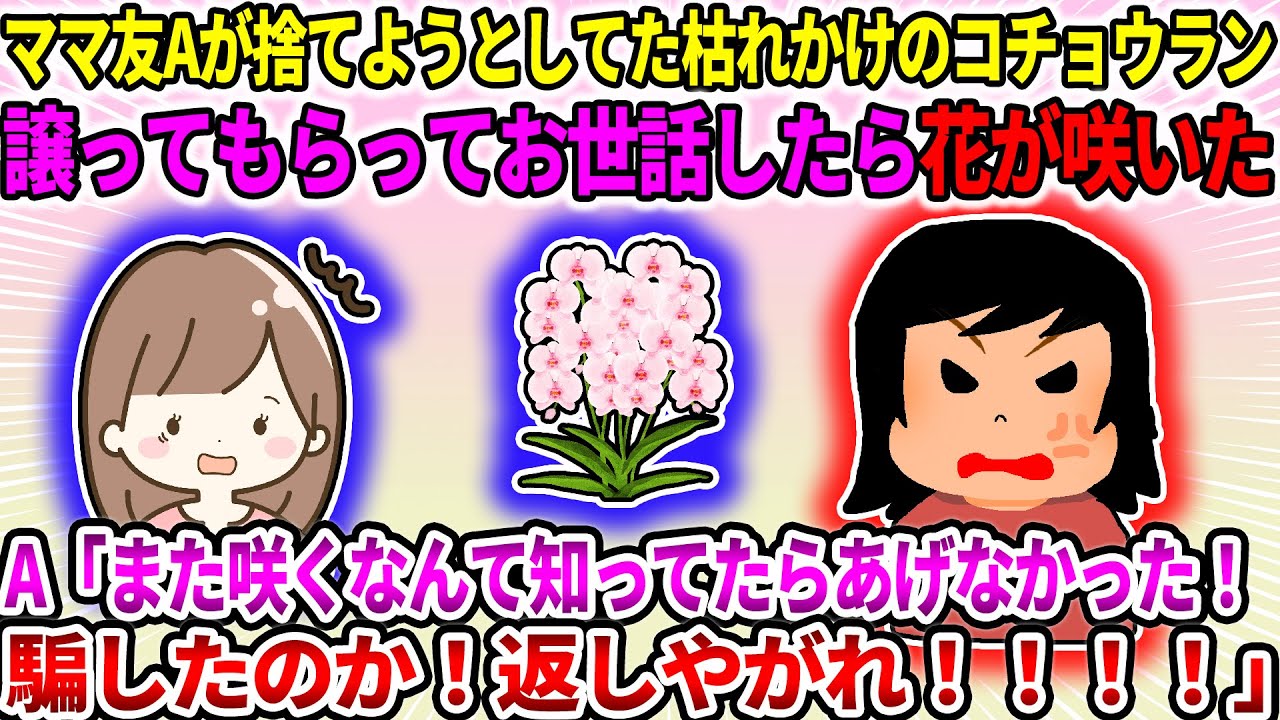 【2ch修羅場スレ】ママ友Aが捨てようとしてた枯れかけのコチョウランを譲ってもらってお世話したら花が咲いた。A「また咲くなんて知ってたらあげなかった！騙したのか！返しやがれ！！！！」【ゆっくり】