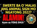 Kapalaran Mo 2022 Prediksyon ayon sa Feng Shui | Chinese Zodiac 2022 Year of the Tiger Prediction
