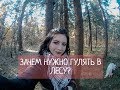 ЗАЧЕМ НУЖНО ГУЛЯТЬ В ЛЕСУ И ПОЧЕМУ ТЫ НЕ ЛИЦЕМЕР?