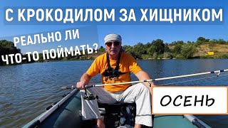 БЮДЖЕТНЫЙ СПИННИНГ! ЛОВЛЯ ХИЩНИКА НА КРОКОДИЛ. РЕАЛЬНО ЛИ ЧТО-ТО ПОЙМАТЬ?