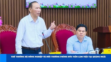 Thứ trưởng Bộ Nông nghiệp và Môi trường Phùng Đức Tiến làm việc tại Quảng Ngãi