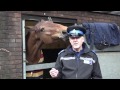 Thames valley police launches animal whispering unit