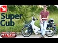Моё мнение: Honda Super Cub