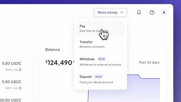 Demo of CSV Upload for Bulk Payments