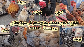 سوق الغزل انواع الدجاج العربي والهراتي وباقي الانواع مع الأسعار يوم الجمعة 2023