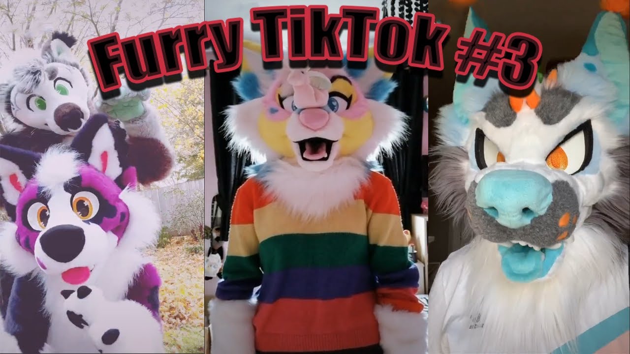 TikTok What Is A 'furry'? Bizarre Animal Fandom Explained!