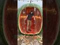 World's Biggest Watermelon Becomes a Luxury Room!♻️🍉#viralshorts #watermelon #timelapse #shorts