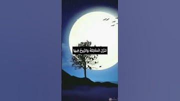 لَيْلَةُ الْقَدْرِ خَيْرٌ مِنْ أَلْفِ شَهْرٍ❤️#راحة_نفسية #حسن_الظن_بالله #مع_القرآن #سورة_القدر