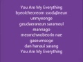 lyric ost Descendants of the sun - you are my everything - gummi