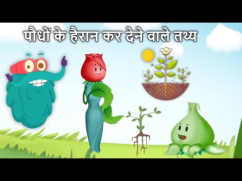 पौधों के हैरान कर देने वाले फैक्ट्स | Amazing Facts of Plants in Hindi | Photosynthesis, Carnivorous