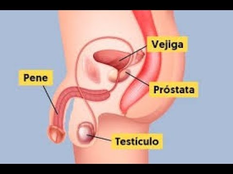 Incluziune ușoară a prostatitei