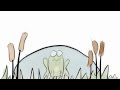 Understanding Metamorphosis