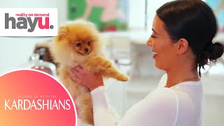 Kardashians LOVE Dogs! | Seasons 118 | Keeping Up With The Kardashians