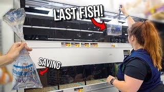 SAVING The LAST FISH Ever SOLD At WALMART!! (Almost Caught)