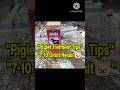 Pig Farming Tips | Pigletor Kah 10 Dinot Bhal Hobo!