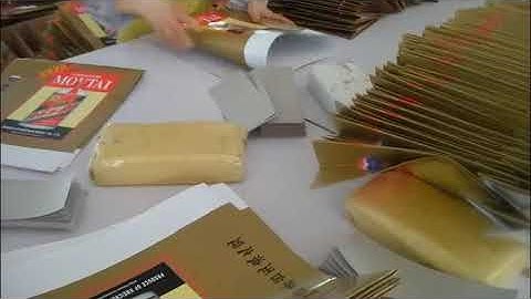 1100A  50B semi auto sheet fed shopping bag making machine