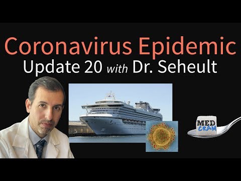 coronavirus-epidemic-update-20:-misinformation-spread,-infection-severity,-cruise-ship,-origins