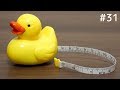 お尻からメジャーが出るアヒル。Duck Tape Measure. It is very cute.