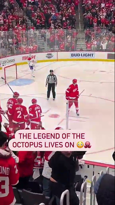 Red Wings fan throws dead octopus on the Bruins' ice while their