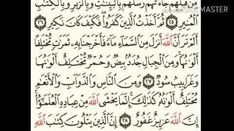 سورة فاطر - من آية ( ١٩ ) إلى آية ( ٣٠ ) - للقارئ : سعد الغامدي .