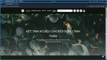 Khi AI Đi Bán Sen Đá: Demo Tính Năng "Điện Cây" Tự Thiết Kế Quà Tặng | Startup FPT | nquangit