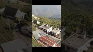 Flying over Chiayi Bihu Mountain Tea Garden (4Kvideos)-soothing music to relieve stress