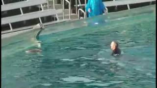 Sea World, Shamu kills trainer VIDEO!