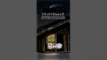سورة التوبة - الآية 51
