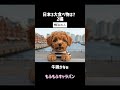 日本3大食べ物は？2