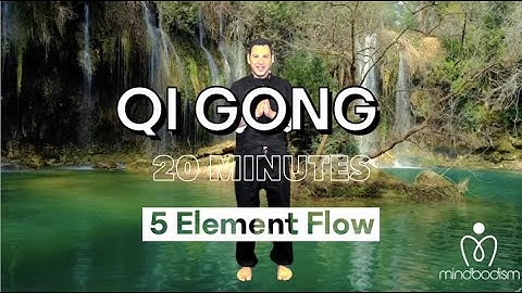 Qi Gong 20 minutes -5 Element Flow