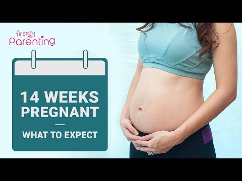 वीडियो: 14 सप्ताह की गर्भवती
