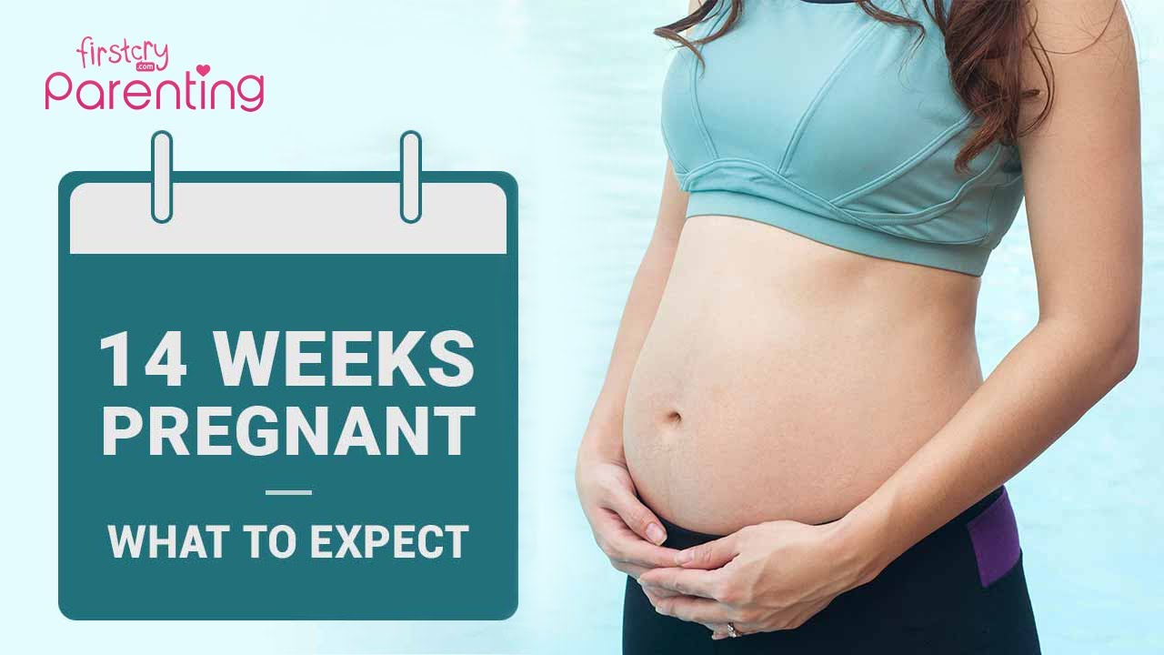 Weeks Pregnant
