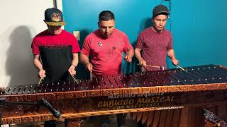 Marimba orquesta Cubulco musical sones bareño ancestrales #marimba #musica #chapines #chapinas 