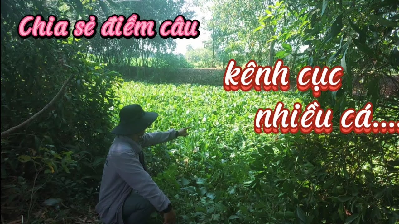 Chia sẻ điểm câu/phê con kênh cục đầy cá. nước ròng vẫn sâu.