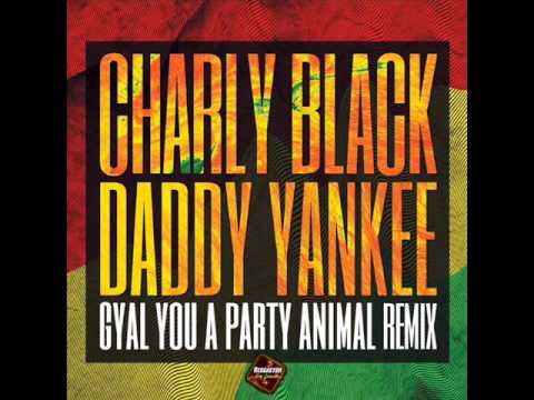 charly black ft daddy yankee gyal you a party animal lyric video wine gyal party flyers