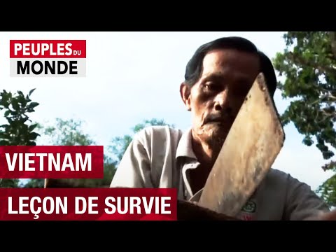 Vidéo: Un café à charpente d'acier devient un jardin suspendu au Vietnam